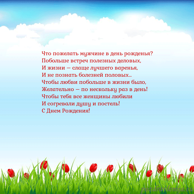 Открытка с тюльпанами