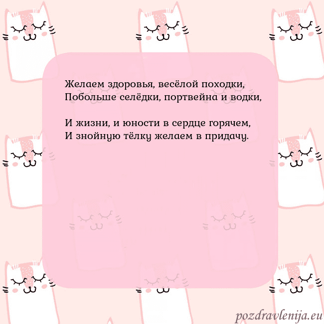 Розовая открытка с забавными кошками