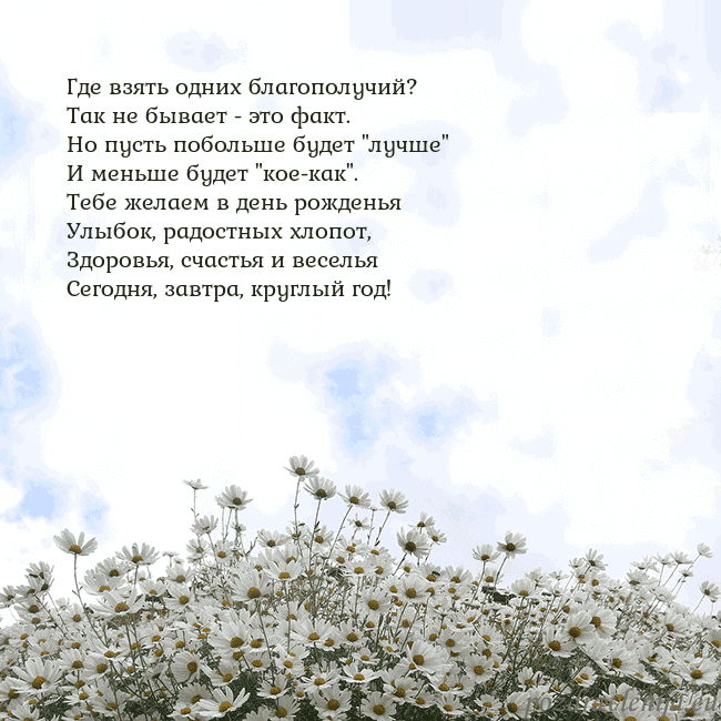 Открытка с ромашками