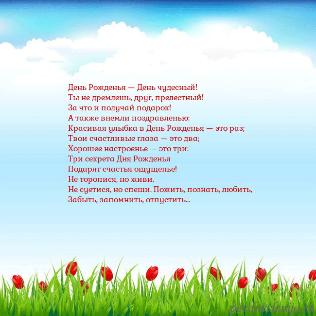 Открытка с тюльпанами