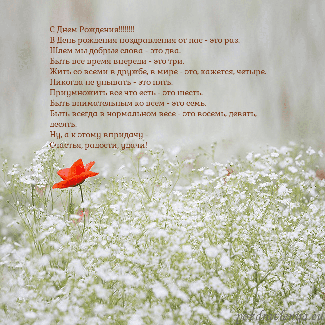 Электронная открытка с белыми цветами