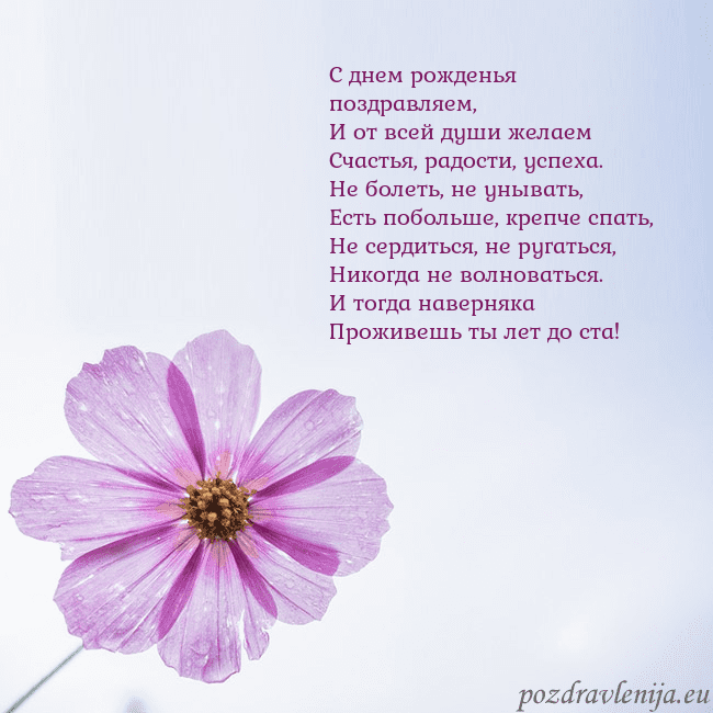 Электронная открытка с фиолетовым цветком