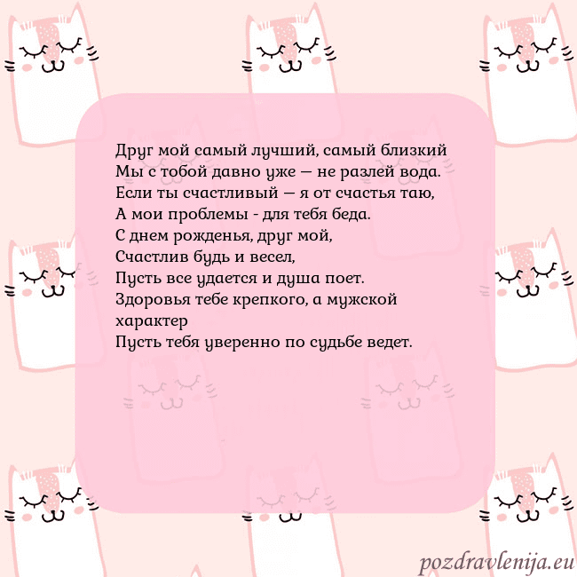 Розовая открытка с забавными кошками
