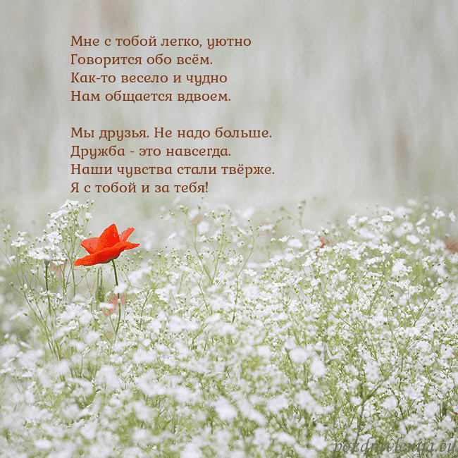 Электронная открытка с белыми цветами