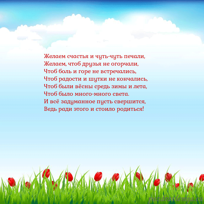 Открытка с тюльпанами