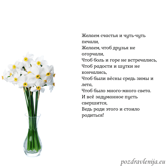 Открытка с нарциссами