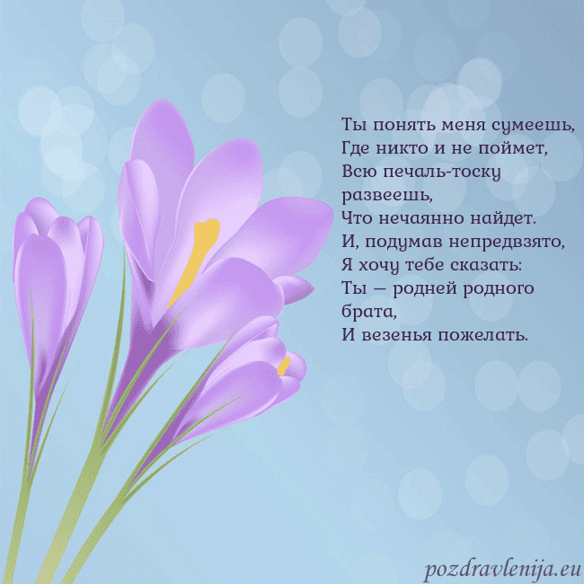 Открытка с крокусом