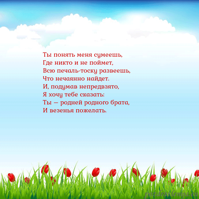 Открытка с тюльпанами