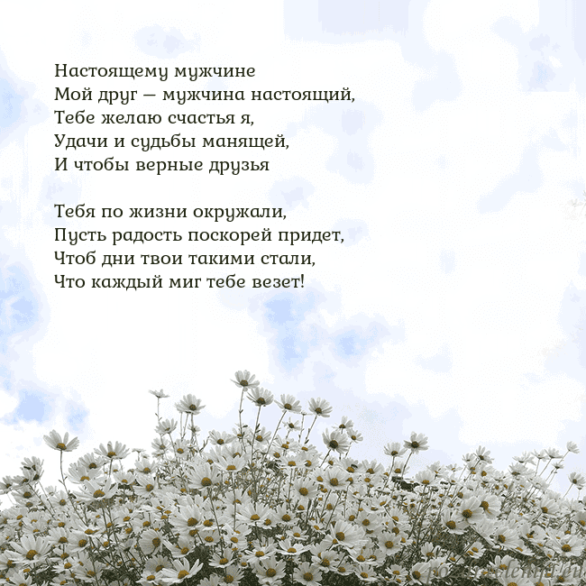 Открытка с ромашками