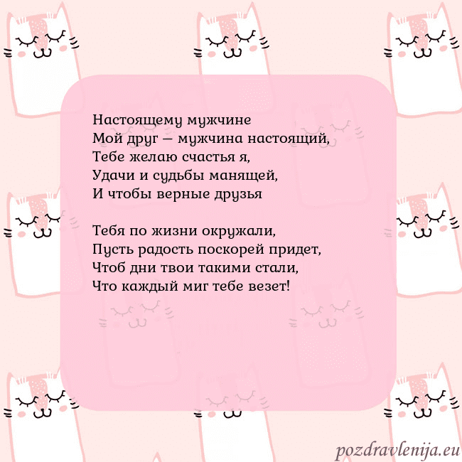 Розовая открытка с забавными кошками