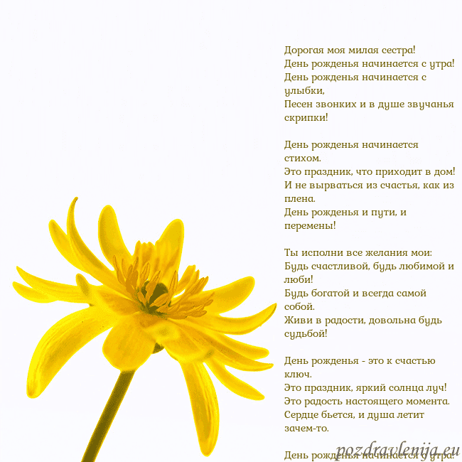 Открытка с желтым цветком Дорогая моя милая сестра!
День рожденья начинается Открытка с желтым цветком