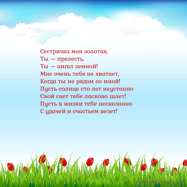 Открытка с тюльпанами