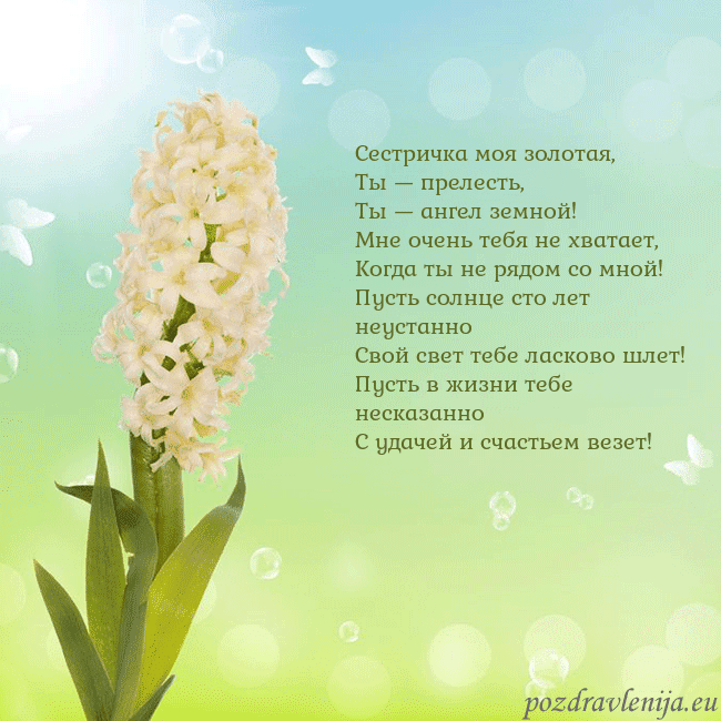 Открытка с гиацинтом