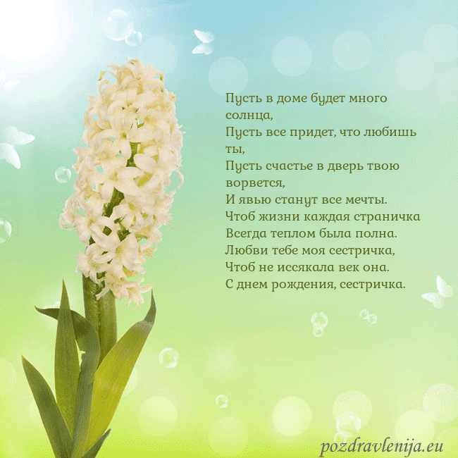 Открытка с гиацинтом