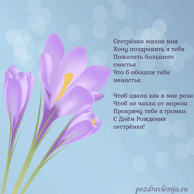 Открытка с крокусом