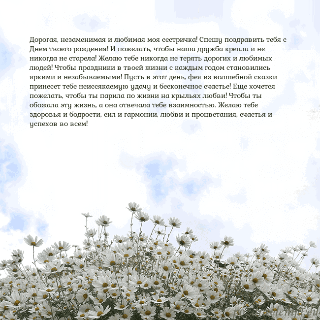 Открытка с ромашками