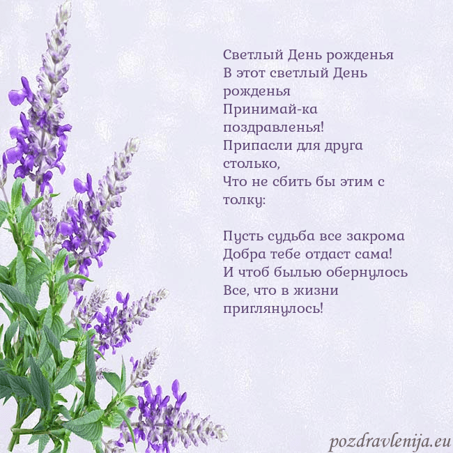 Открытка с люпинами