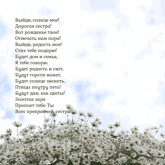 Открытка с ромашками