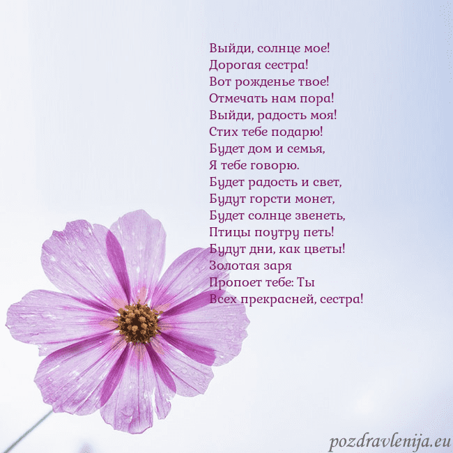 Электронная открытка с фиолетовым цветком