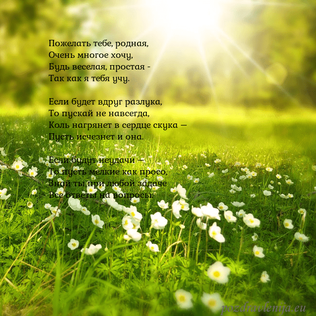 Электронная открытка с утопающим в солнечном свете лугом