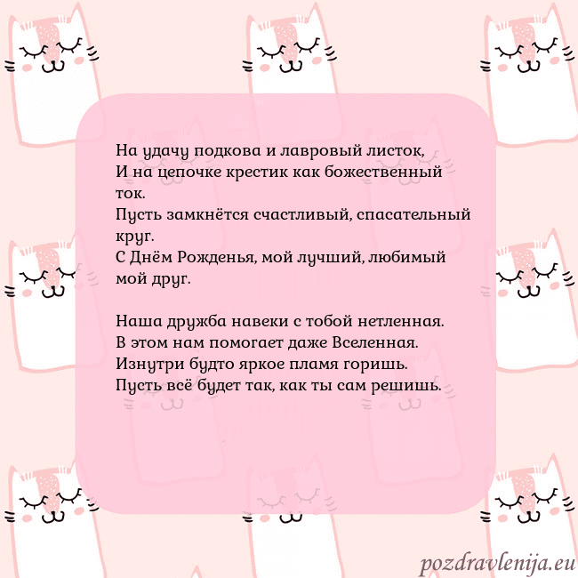 Розовая открытка с забавными кошками