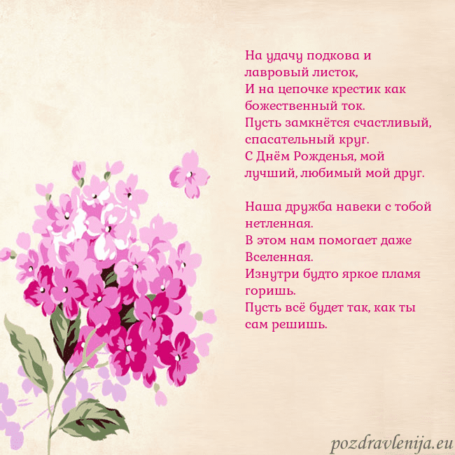 Открытка с гортензией