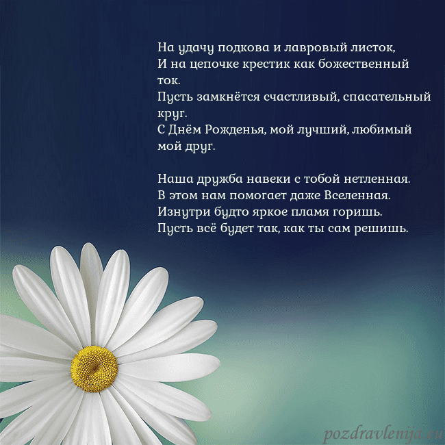 Открытка с большой ромашкой