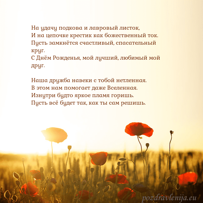 Электронная открытка с полем маков