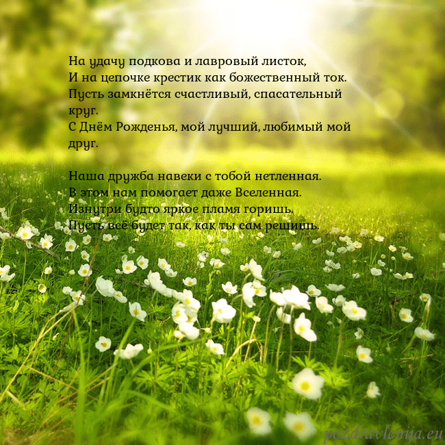 Электронная открытка с утопающим в солнечном свете лугом