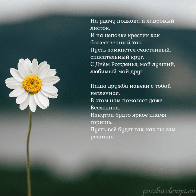 Электронная открытка с ромашкой