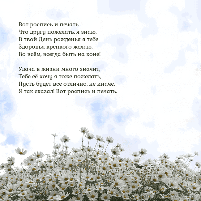 Открытка с ромашками