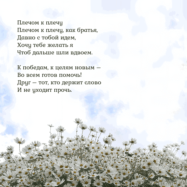 Открытка с ромашками