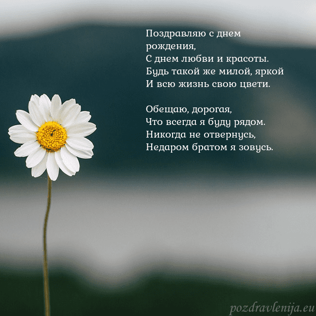 Электронная открытка с ромашкой