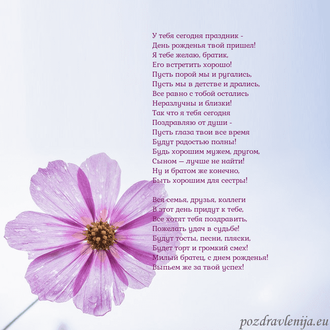 Электронная открытка с фиолетовым цветком У тебя сегодня праздник -
День рожденья твой прише Электронная открытка с фиолетовым цветком