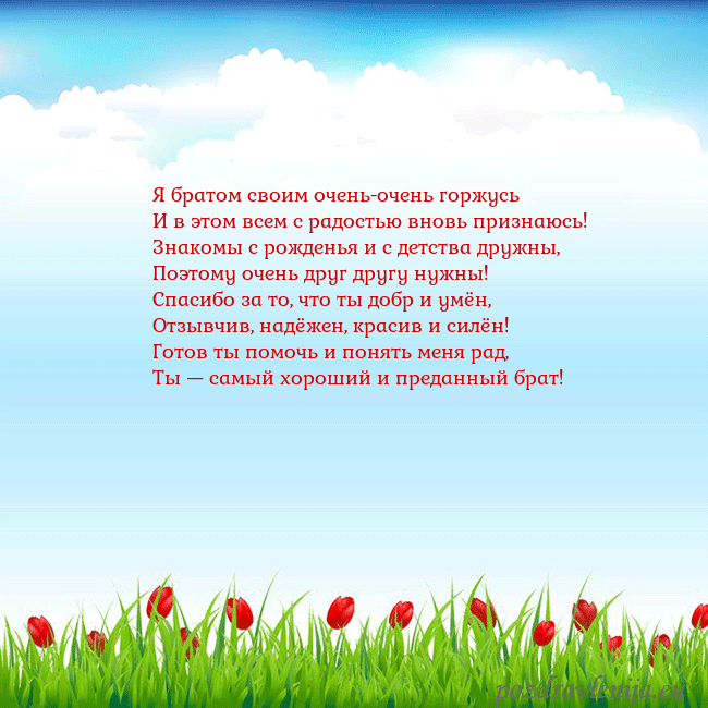 Открытка с тюльпанами