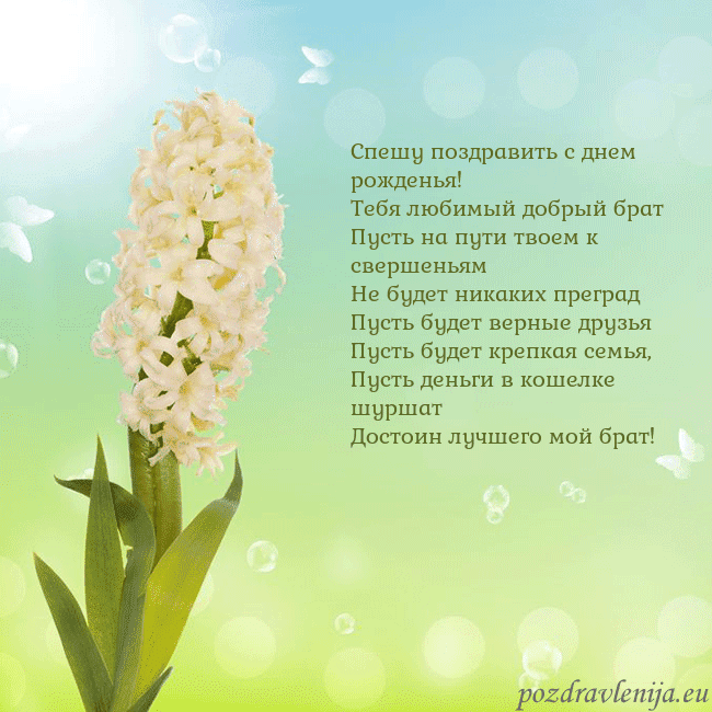 Открытка с гиацинтом