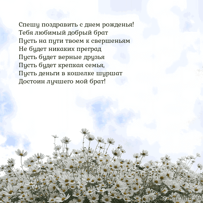 Открытка с ромашками