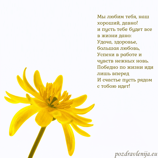 Открытка с желтым цветком