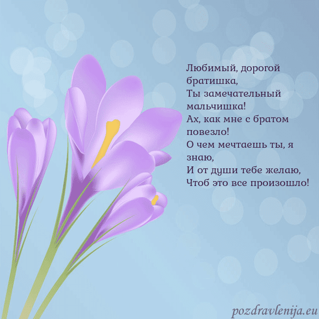 Открытка с крокусом