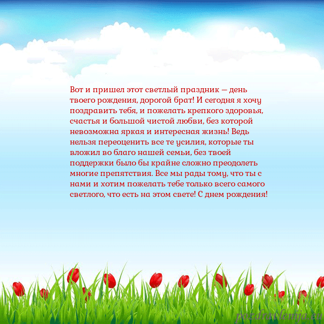 Открытка с тюльпанами