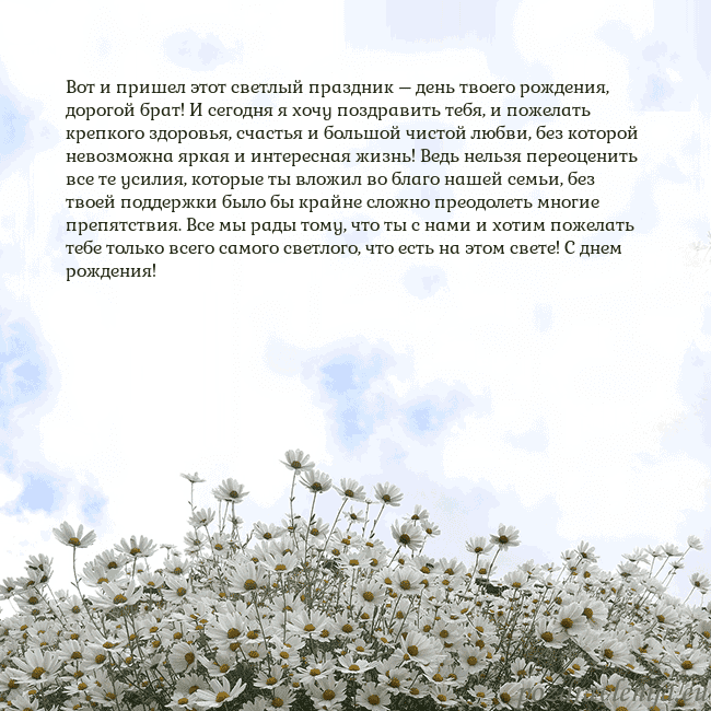 Открытка с ромашками