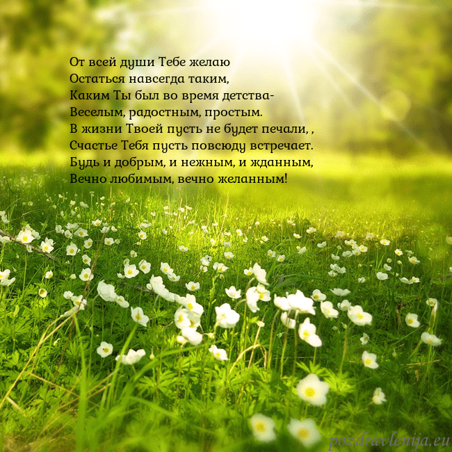 Электронная открытка с утопающим в солнечном свете лугом