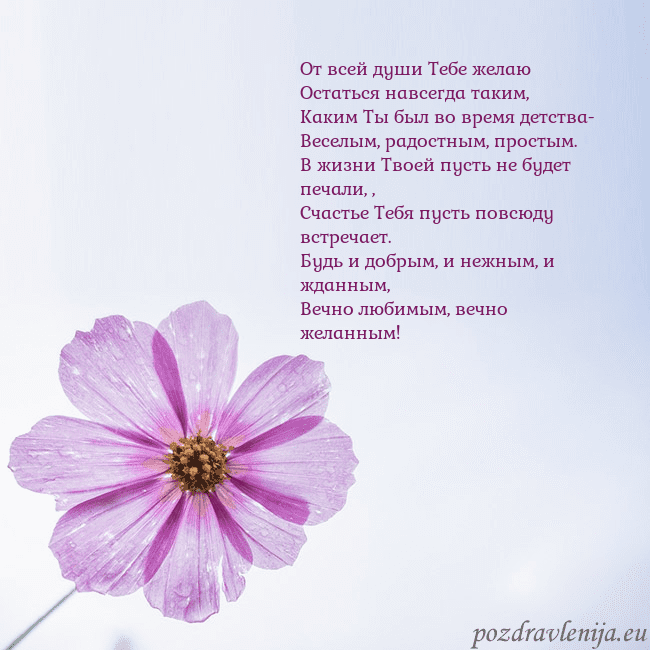 Электронная открытка с фиолетовым цветком