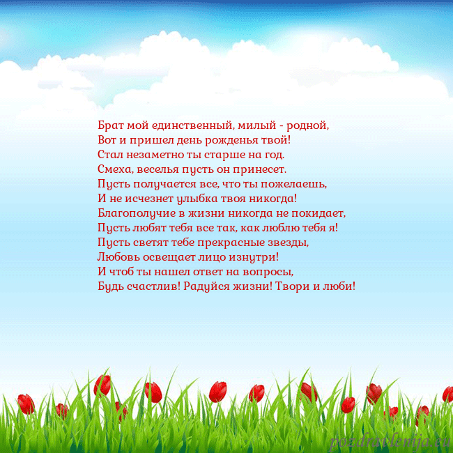 Открытка с тюльпанами