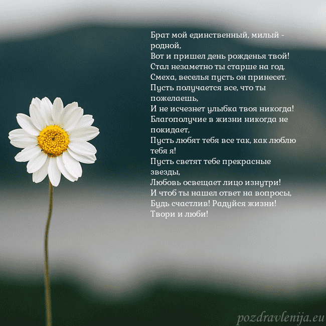 Электронная открытка с ромашкой