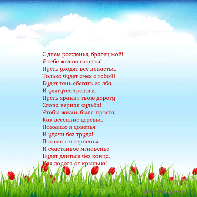 Открытка с тюльпанами