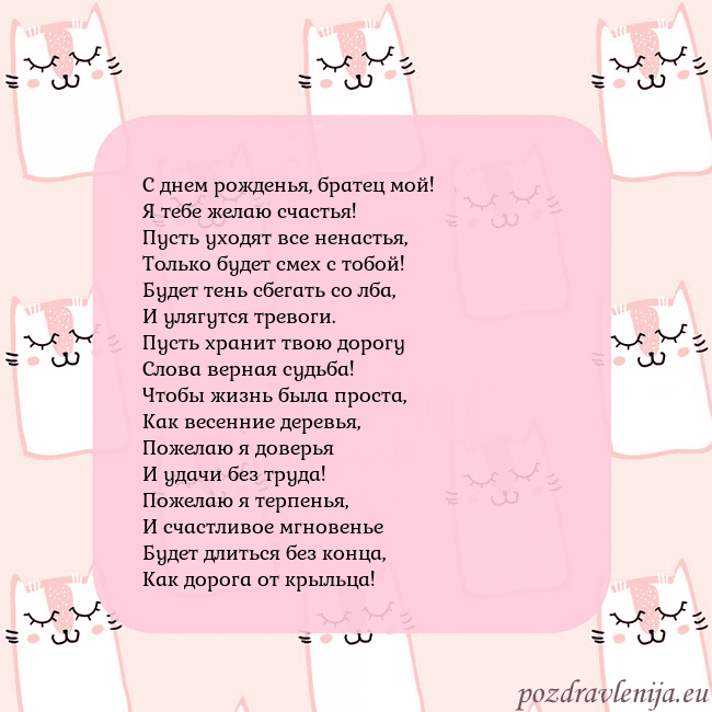 Розовая открытка с забавными кошками