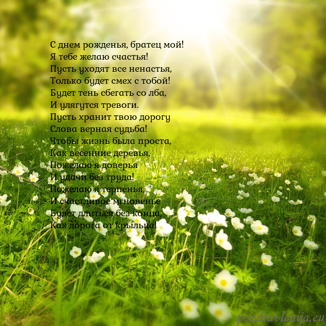 Электронная открытка с утопающим в солнечном свете лугом