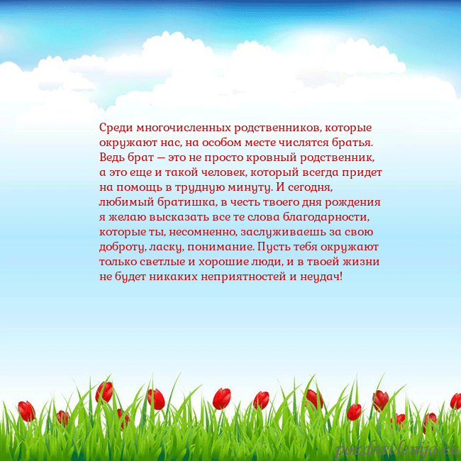 Открытка с тюльпанами