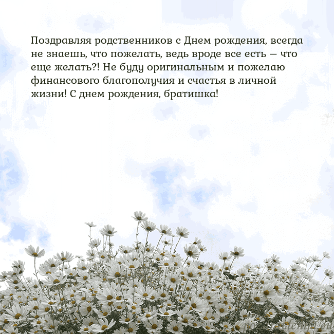 Открытка с ромашками